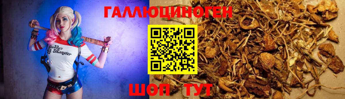 Галлюциногенные грибы ЛСД Тверь